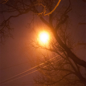 tree branch and hot orb